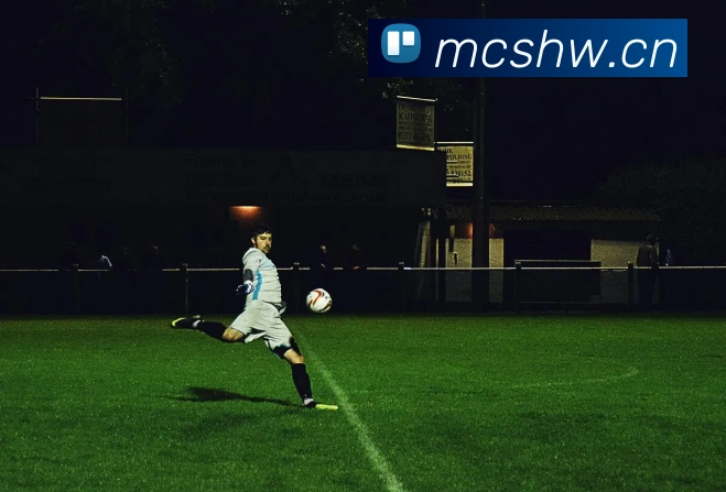 巅峰国际pg下载官网平台生态图